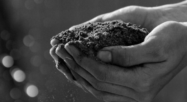 Microfinance